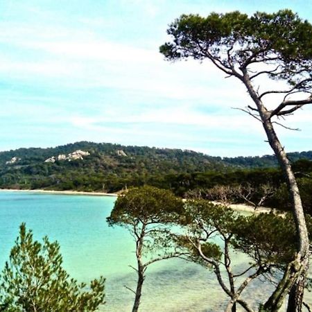 Ile De Porquerolles : T3 Climatise Vue Mer 외부 사진