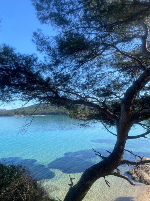 Ile De Porquerolles : T3 Climatise Vue Mer 외부 사진