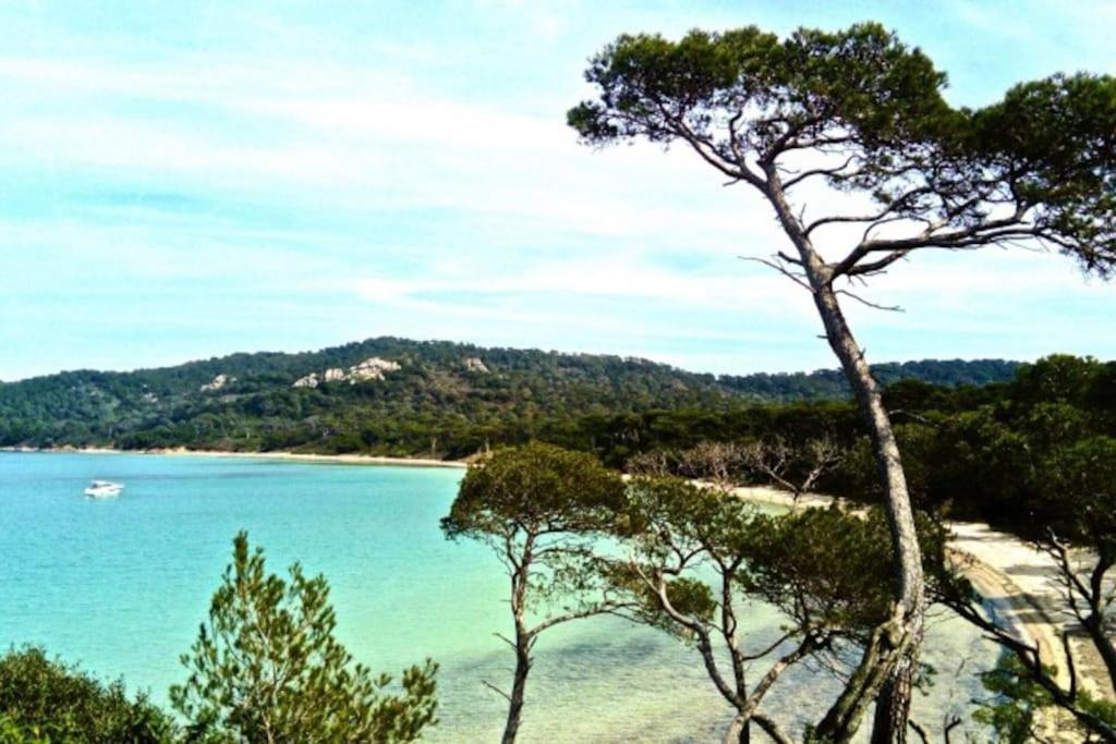 Ile De Porquerolles : T3 Climatise Vue Mer 외부 사진